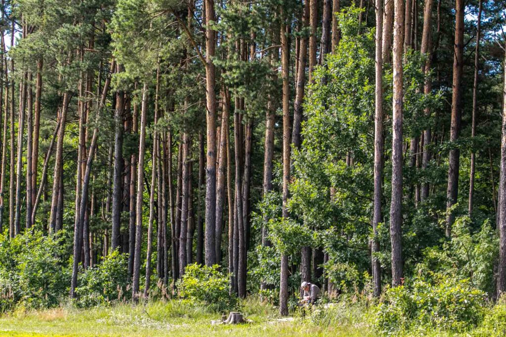 Šeimas kviečia į žygį Jadagoniuose – Kas vyksta Kaune