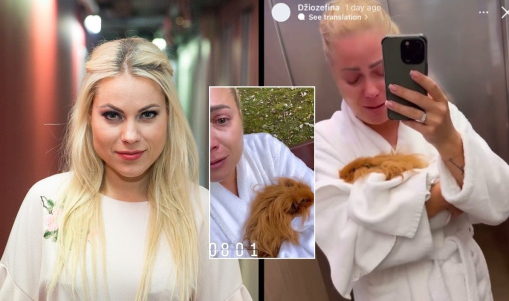 mylimą augintinę rado kraujo baloje – Kas vyksta Kaune