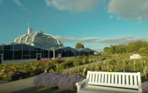 Botanikos sode vyks Kauno bendruomenių centrų šventė – Kas vyksta