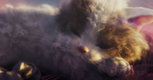 Pasak kūrėjų, „Catly“ nenaudoja generatyvaus AI ir nenaudoja NFT